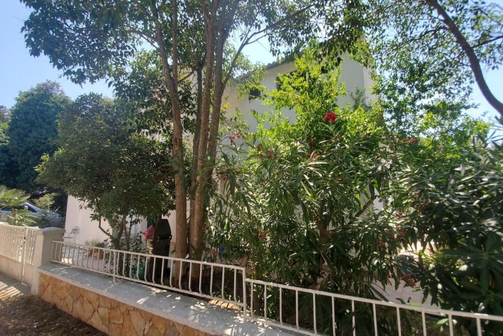 Casa Blanca, Biograd Na Moru公寓 外观 照片