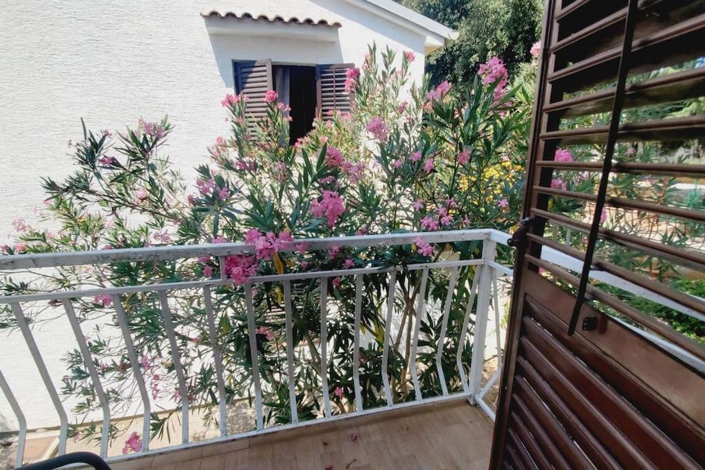 Casa Blanca, Biograd Na Moru公寓 外观 照片